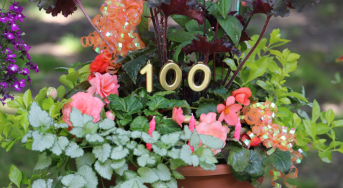 PHOTOS: Kelowna Garden Club celebrates its 100th anniversary in style